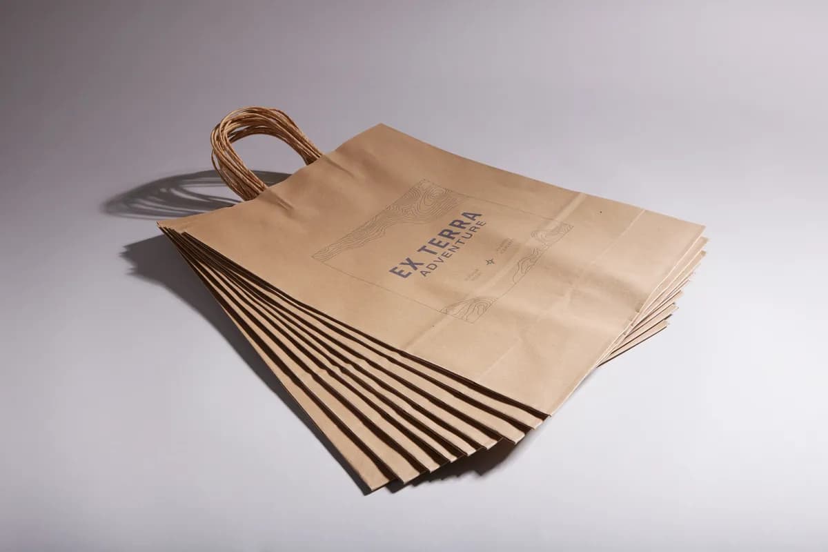 Paper Bags 5